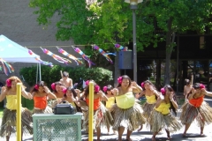 DSC04839-1024x768
