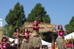 DSC05294-1024x768