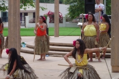 DSC04790-1024x768
