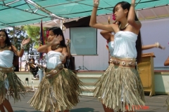 DSC02478-1024x768
