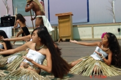 DSC02481-1024x768