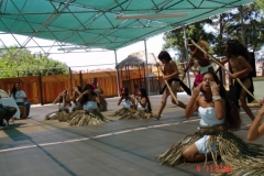 DSC02482-1024x768