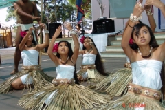 DSC02486-1024x768