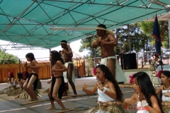DSC02487-1024x768