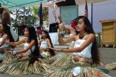 DSC02488-1024x768
