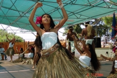 DSC02492-1024x768
