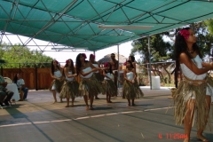 DSC02500-1024x768