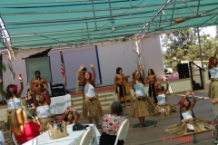 DSC02545-1024x768