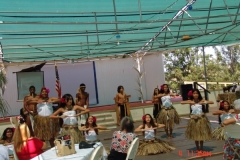 DSC02552-1024x768