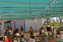 DSC02553-1024x768