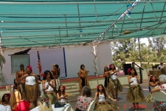 DSC02554-1024x768