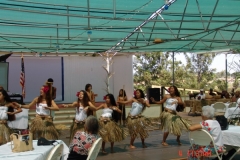 DSC02557-1024x768