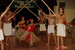 DSC02996-1024x768