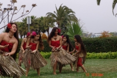 DSC01940-1024x768