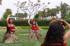DSC01946-1024x768