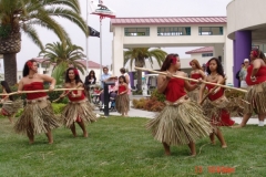 DSC01972-1024x768