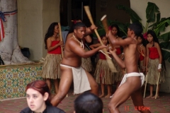 DSC03287-1024x768