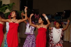 DSC03462-1024x768