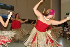 DSC04350-1024x768