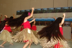 DSC04351-1024x768