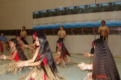 DSC04353-1024x768