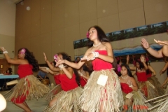DSC04381-1024x768