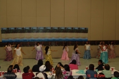 DSC04440-1024x768