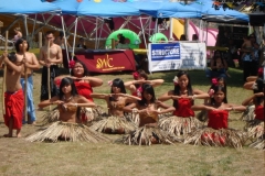 DSC05146_1024x768