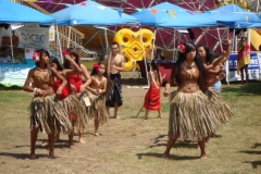 DSC05162_1024x768