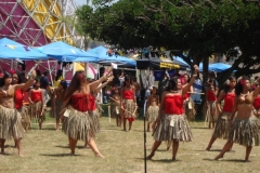 DSC05177_1024x768