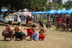 DSC05197_1024x768