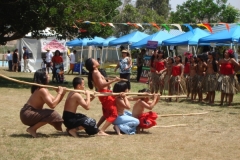 DSC05198_1024x768