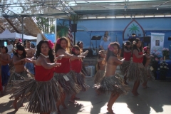 DSC05400_1024x768