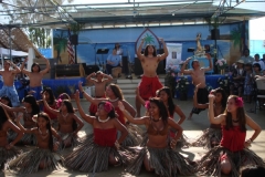 DSC05409_1024x768