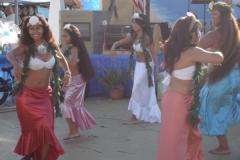 DSC05478_1024x768