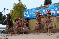 201_1024x768 201_1024x768