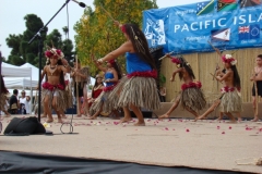 207_1024x768 207_1024x768