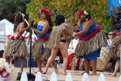 216_1024x768 216_1024x768