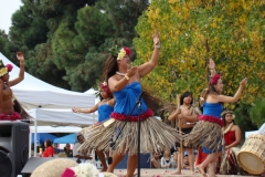 231_1024x768 231_1024x768