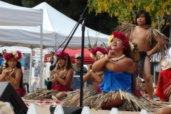 239_1024x768 239_1024x768