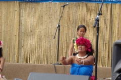 240_1024x768 240_1024x768