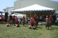 DSC00973_1024x768 DSC00973_1024x768