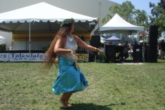 DSC01000_1024x768 DSC01000_1024x768