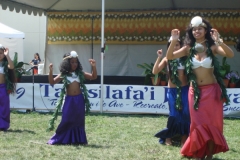 DSC01012_1024x768