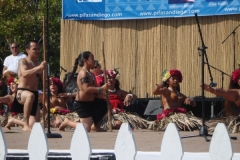 DSC01755_1024x768
