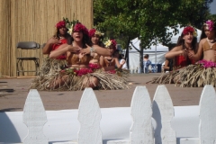 DSC01806_1024x768