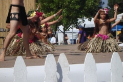 DSC01809_1024x768