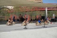 IMG_3043_1024x768
