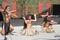 IMG_3069_1024x768 IMG_3069_1024x768