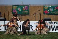 DSC03016_1024x768
